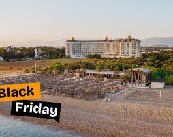 ASTERIA BLOOM SIDE (EX.HEAVEN BEACH)